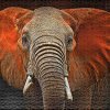 Ulmer Puzzleschmiede Puzzle Elefante Dello Tsavo Ritratto Animale Di Elefante Africano Nel Parco Nazionale Tsavo In Kenya 0 0